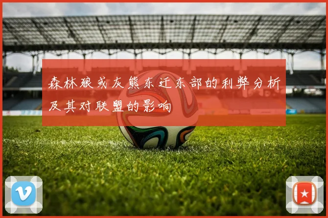 森林狼或灰熊东迁东部的利弊分析及其对联盟的影响